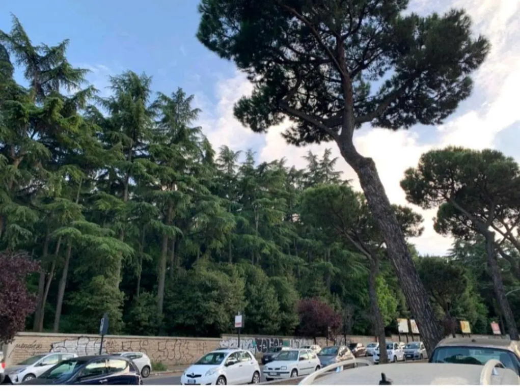 Roma San Pietro