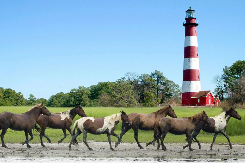 Hampton Inn & Suites Chincoteague Waterfront