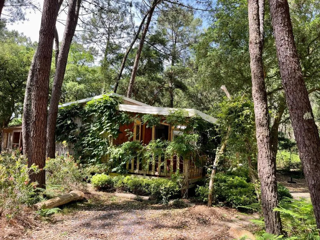 Deluxe Bungalow