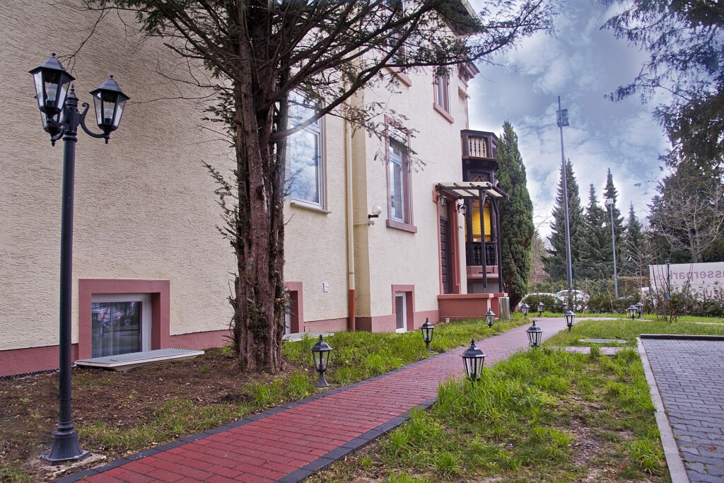Image 15