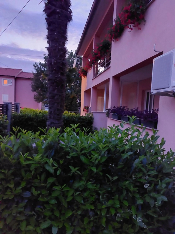 Two Bedroom Apartment