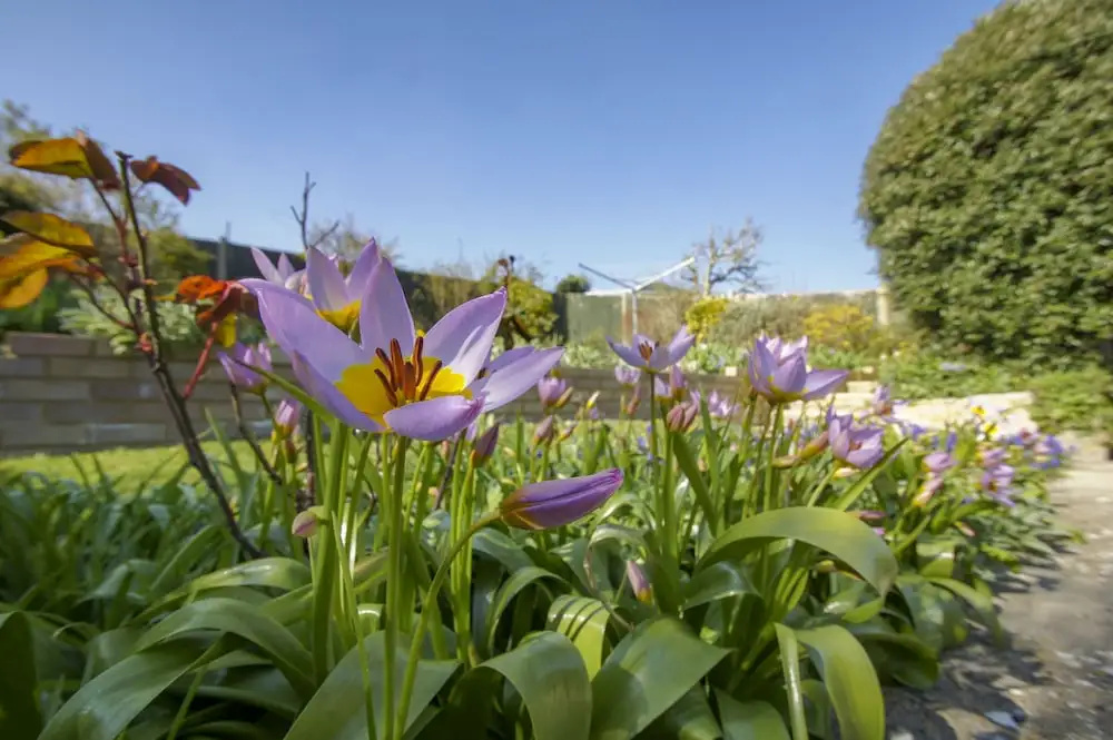 Dean Court Bungalow Parking by Brighton Holiday Lets