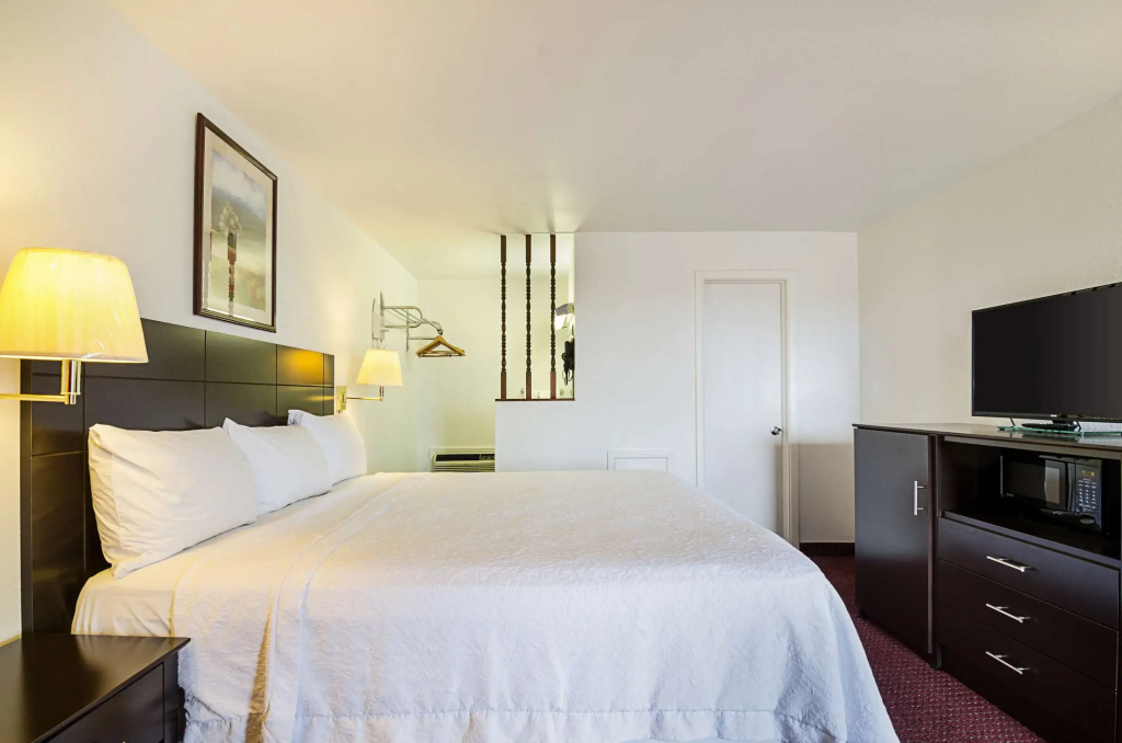 Rodeway Inn - фото 25