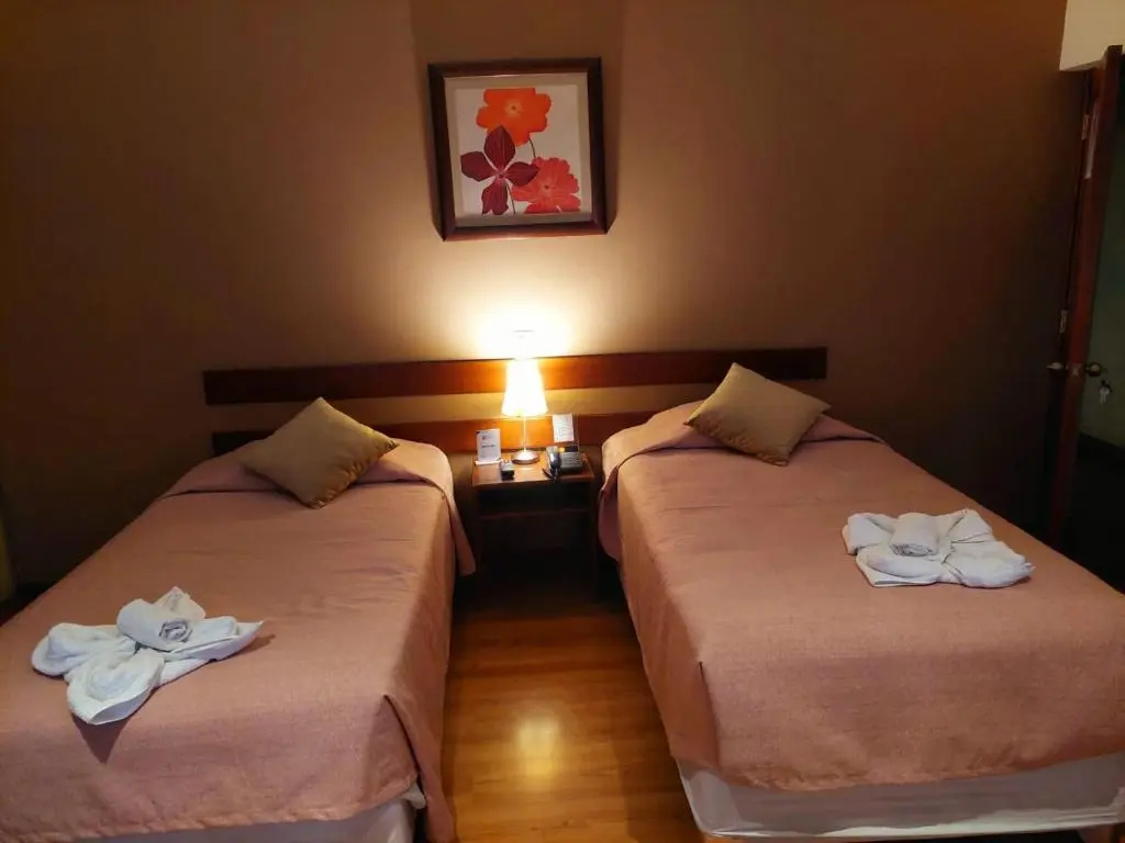 Standard Double room (twin beds)