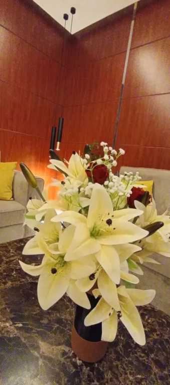 Afaq Suite Al- Shamisi - افاق سويت الشميسى