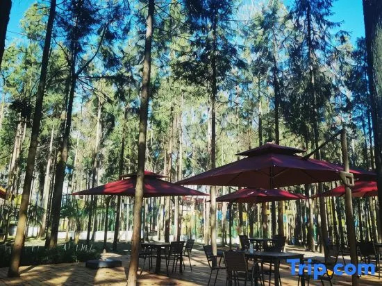 Overseas Chinese Town · Dream Tengchong International Hot Spring Resort Town