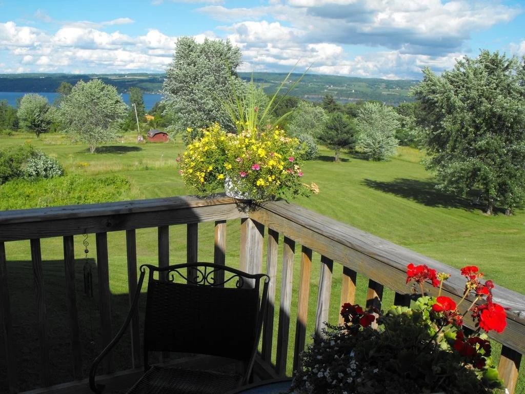 Balcony & Terrace