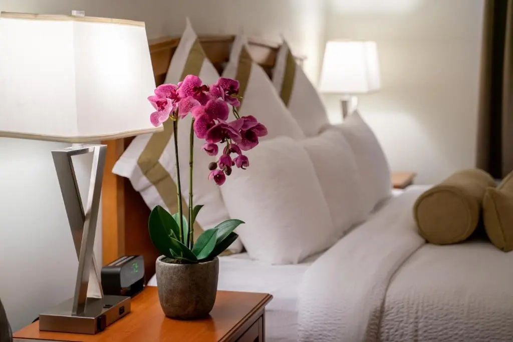 Service Plus Inns and Suites Calgary - Chambres