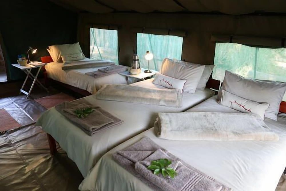 Family Tent