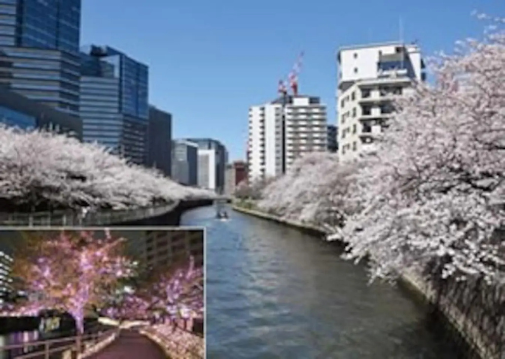 Julian home Shinagawa 5 mins Shibuya 7 mins 사진 14