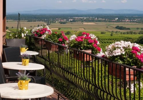 Balcony & Terrace