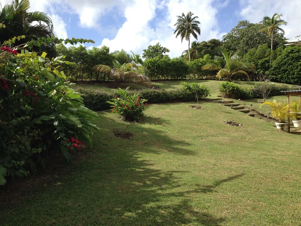 Image 35