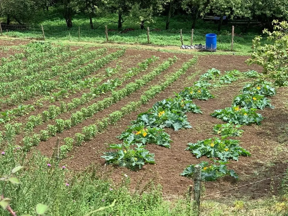 Agroturismo Urresti - фото 13