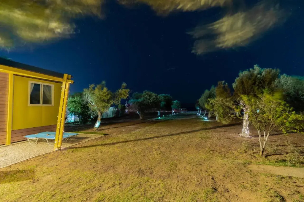 Olive Grove Villa by the Beach - фото 15