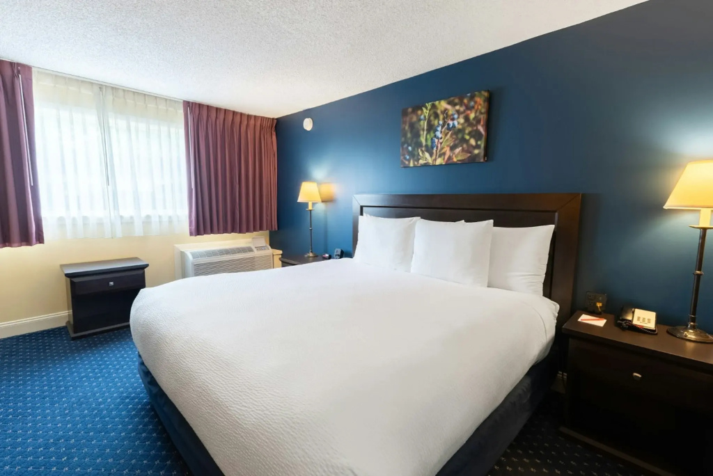 Hotel photo 33