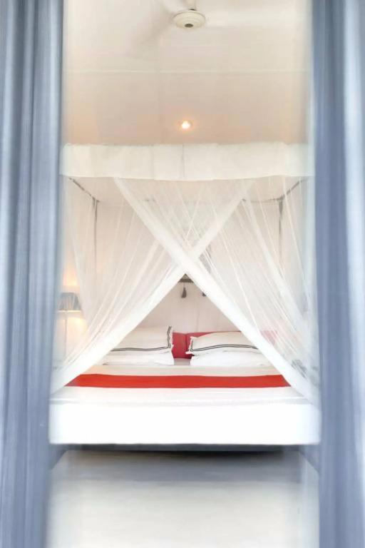 The Sun House - фото 30