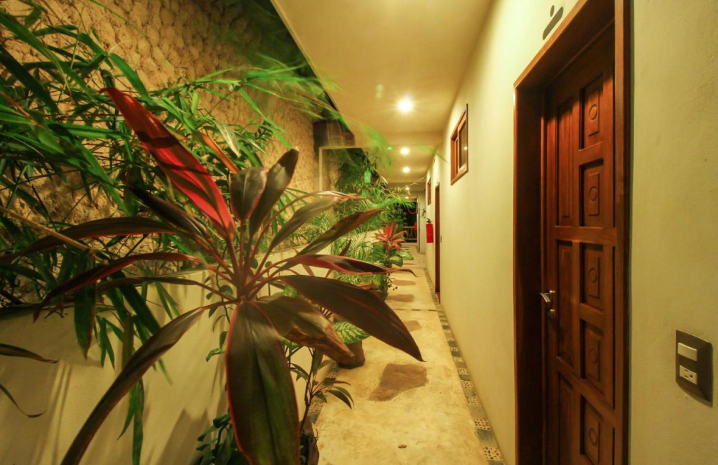 Hotel photo 14