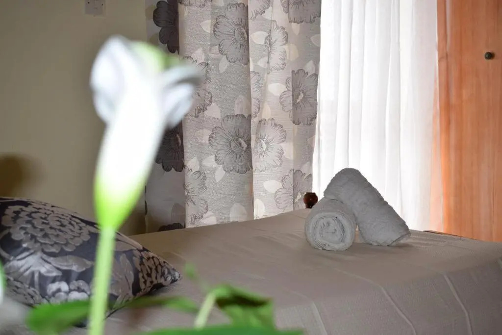 Standard Double room with sea view (full double bed)