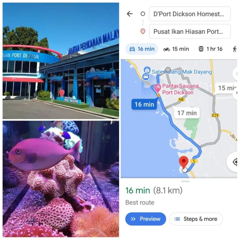 D'Port Dickson Homestay