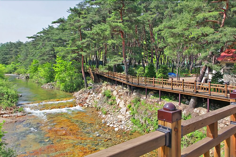 Tongyeong Songni Mt. Nature Pension