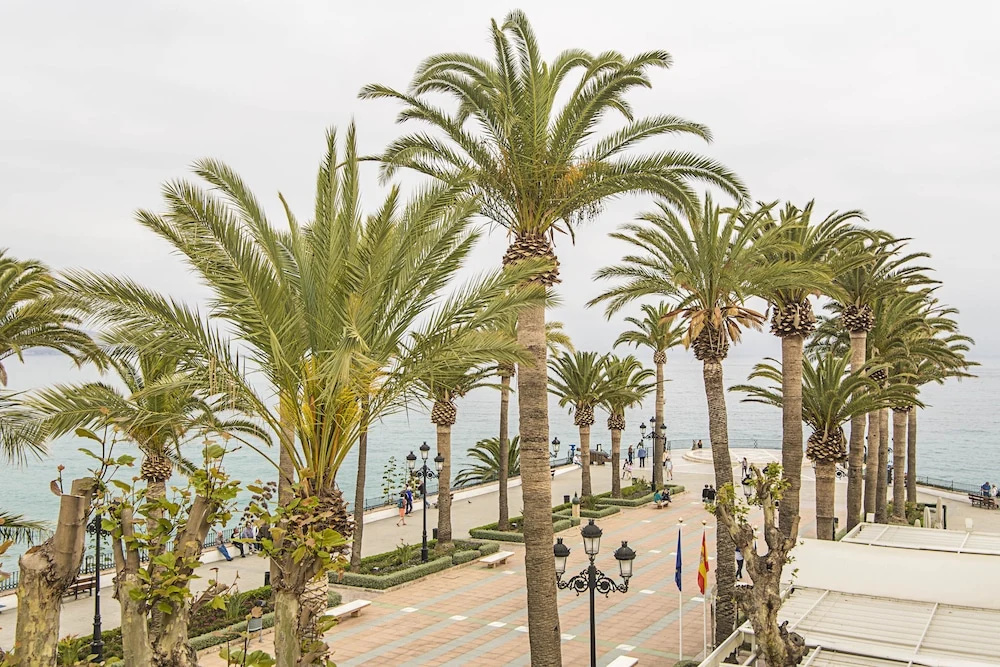Standard Double room with sea view (full double bed)