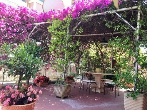 La Bouganville Napoli