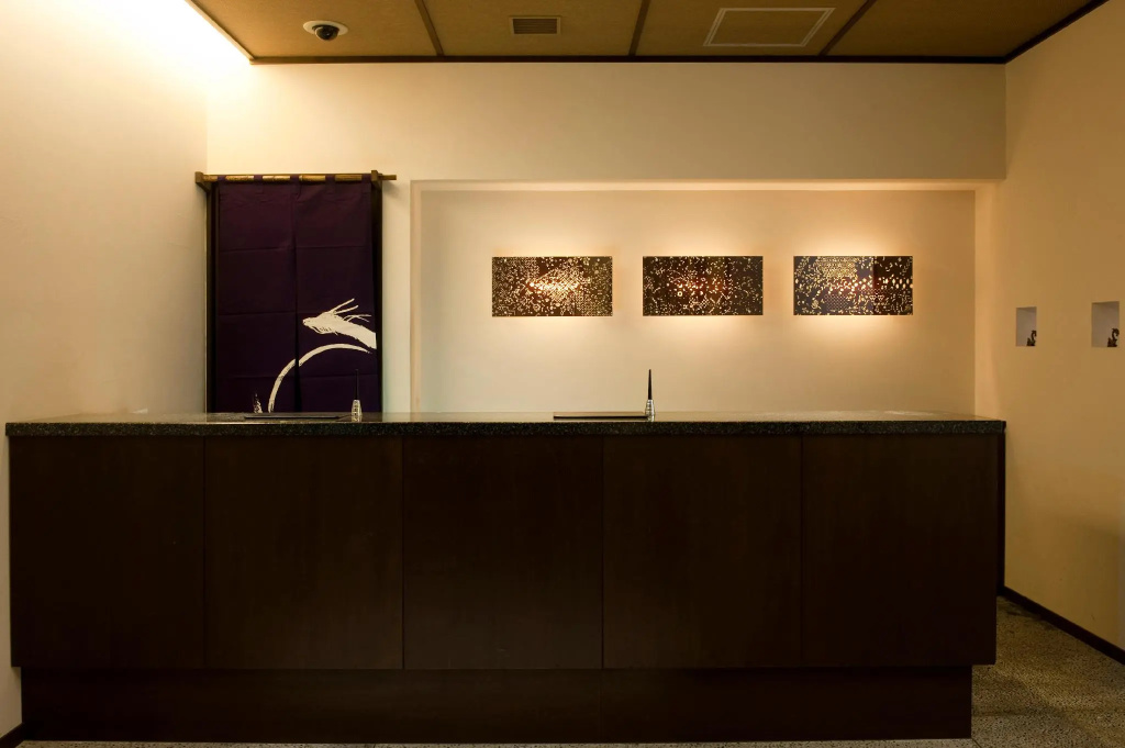 Ochanomizu Hotel Shoryukan - Général
