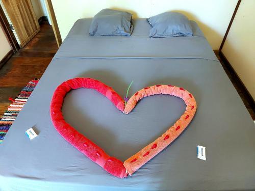 Hostal y Cabinas Tortuguero by null