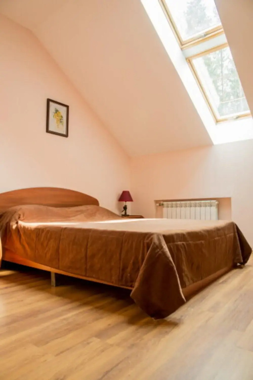 Standard Double room with balcony (full double bed)