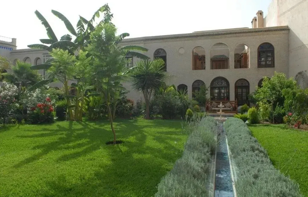 Riad Alkantara - Général