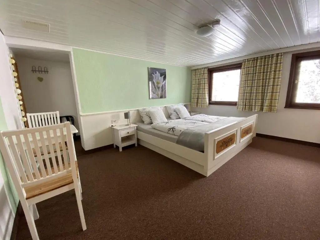 Standard Double room (full double bed)