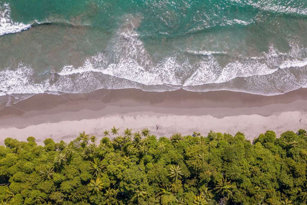 Arenas Del Mar Beachfront & Rainforest Resort picture