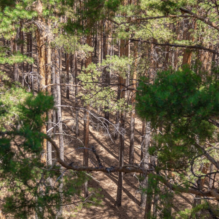 Parkhouse Kokshetau - фото 12