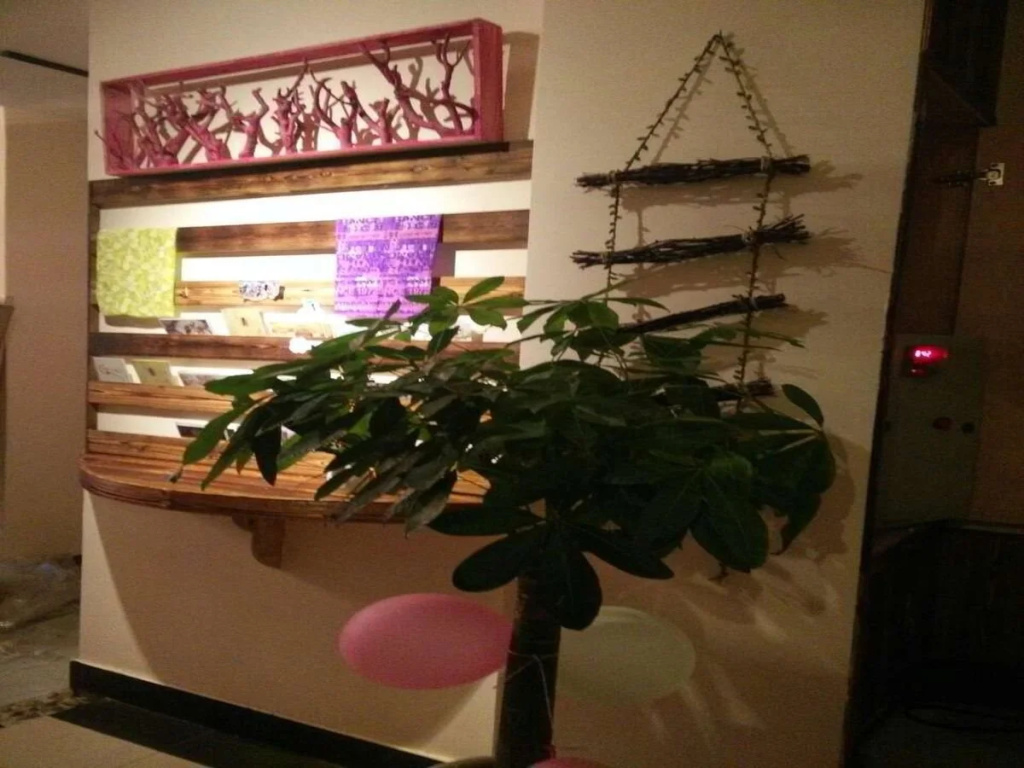 Lutuo Hostel Jinqiao