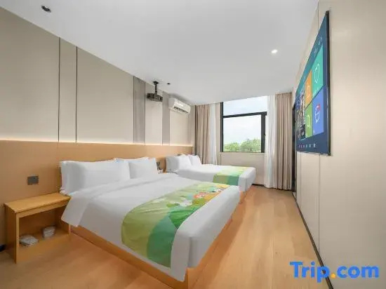 Deluxe Double room (twin beds)