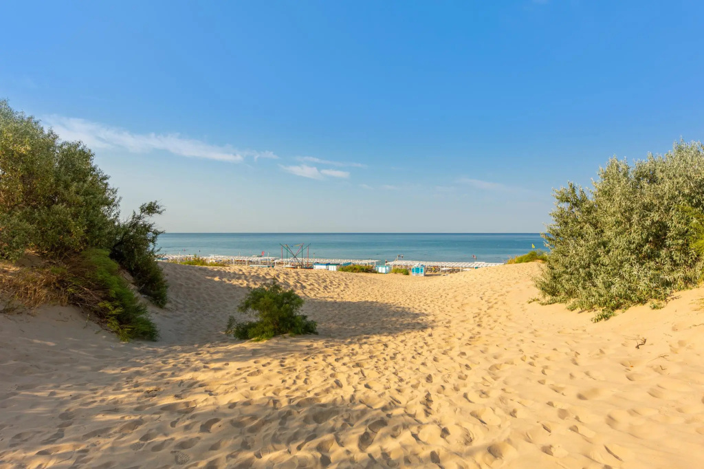 Beach & Waterfront