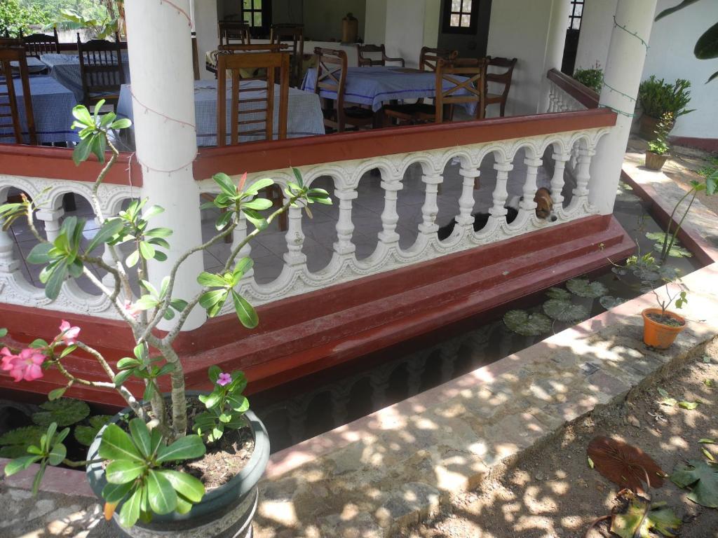 Top Of The Hill Guesthouse
