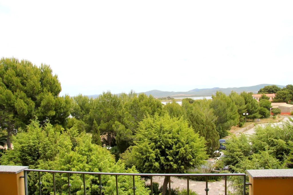 Hotel Cala dei Pini - Général
