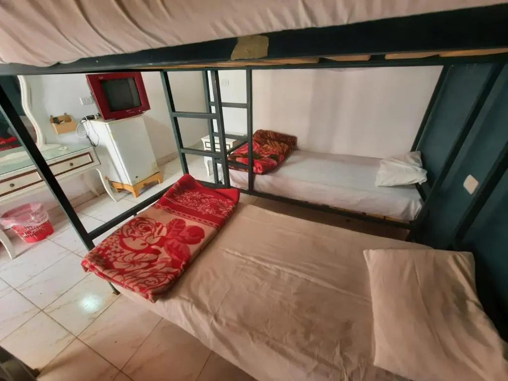 Octopus Resort - Chambres