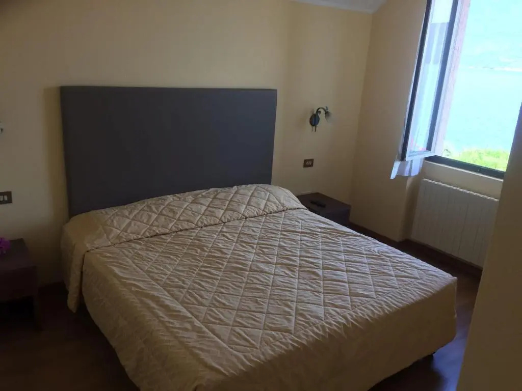 Standard Double room with lake view (full double bed)