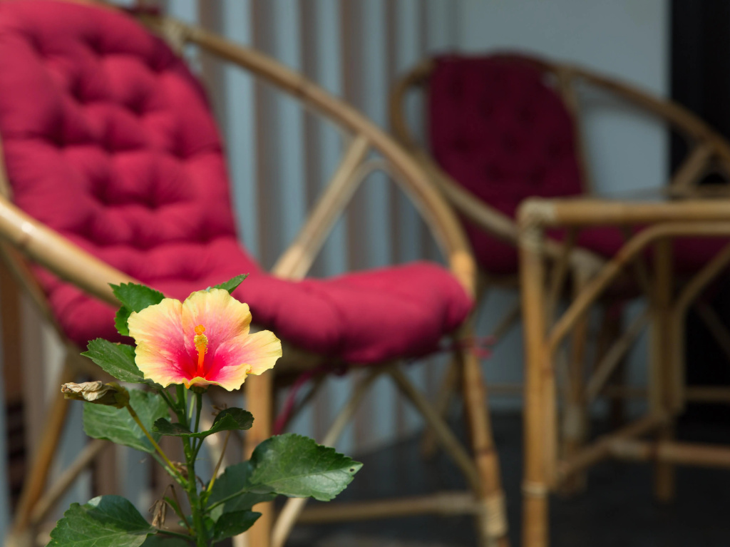 Dream Butterfly Garden Boutique Villa - Chambres