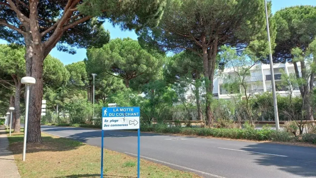 Les Cyprianes