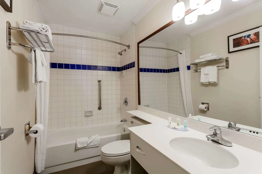 Comfort Inn Murray - Salt Lake City South - Général