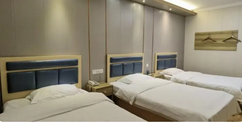 GreenTree Alliance Shanghai ChongMing BaYi Road Walking Street Hotel - Général
