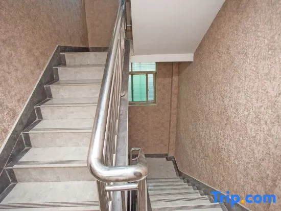 Balcony & Terrace