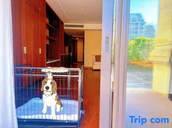 Qingdao Impression Hotel - Chambres