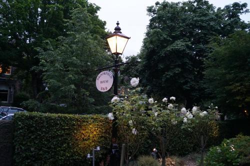 Image 15
