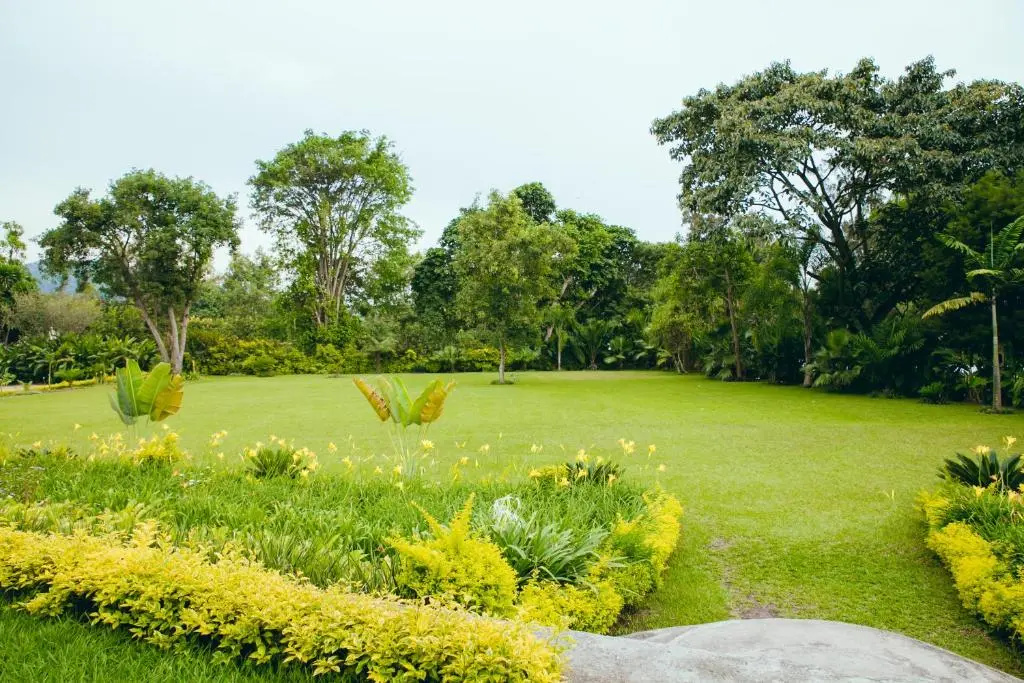 Gorillas Lake Kivu Hotel - Chambres