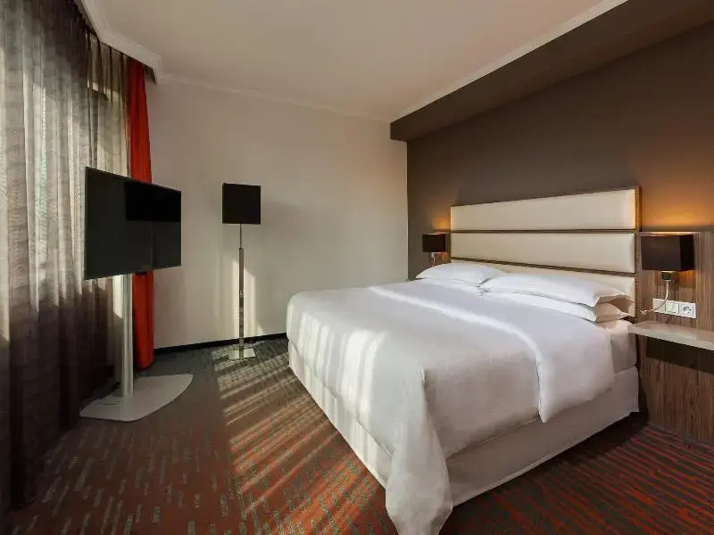 Executive Double Suite (full double bed)