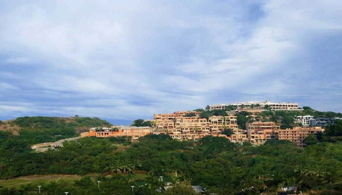 Palms Hotel - Général